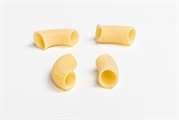 Rigatoni