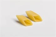 Pennottina